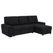 Demko Sleeper Sectional Sofa with Speaker and Storage Chaise Black - 500357