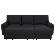 Demko Sleeper Sectional Sofa with Speaker and Storage Chaise Black - 500357