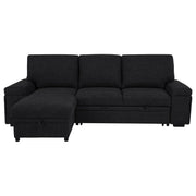 Demko Sleeper Sectional Sofa with Speaker and Storage Chaise Black - 500357