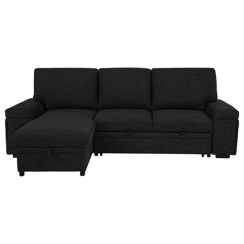 Demko Sleeper Sectional Sofa with Speaker and Storage Chaise Black - 500357
