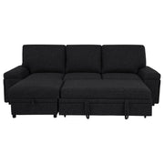 Demko Sleeper Sectional Sofa with Speaker and Storage Chaise Black - 500357