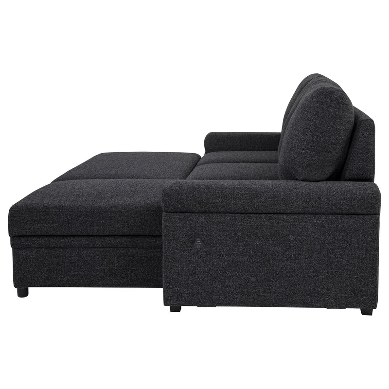 Demko Sleeper Sectional Sofa with Speaker and Storage Chaise Black - 500357