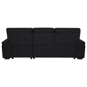 Demko Sleeper Sectional Sofa with Speaker and Storage Chaise Black - 500357