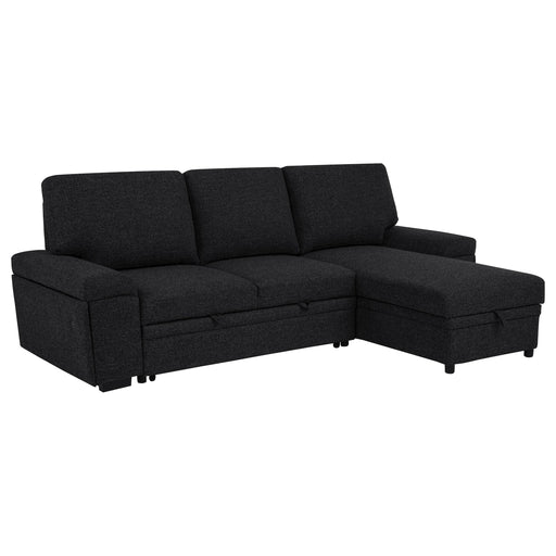Demko Sleeper Sectional Sofa with Speaker and Storage Chaise Black - 500357