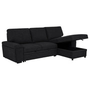 Demko Sleeper Sectional Sofa with Speaker and Storage Chaise Black - 500357