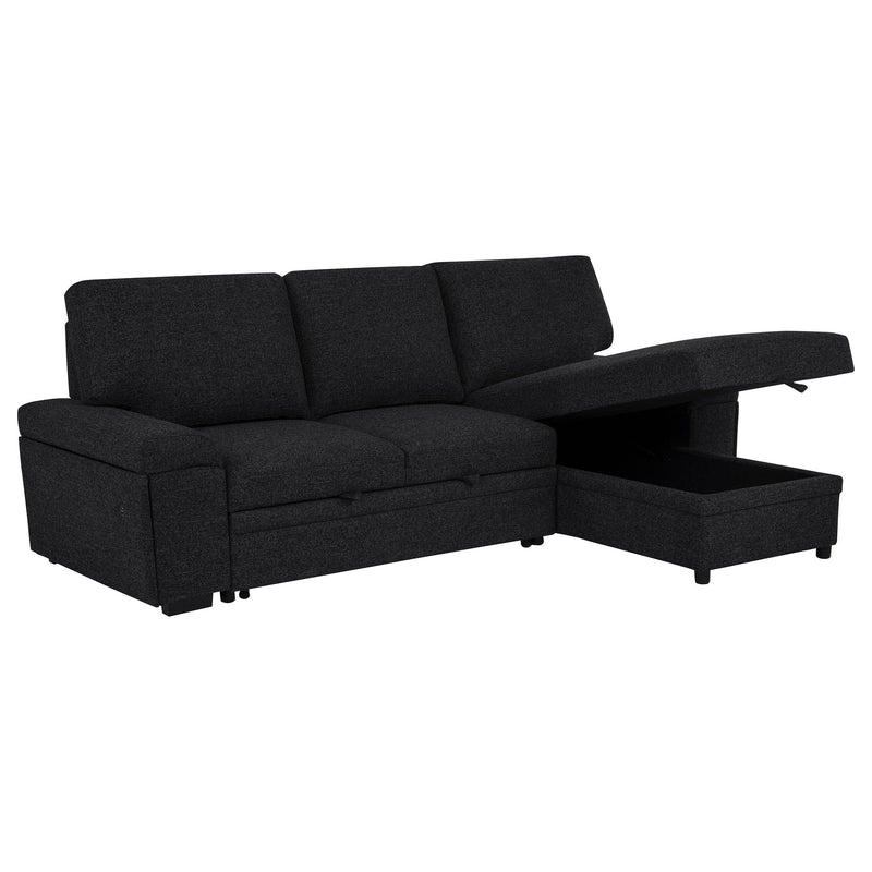 Demko Sleeper Sectional Sofa with Speaker and Storage Chaise Black - 500357