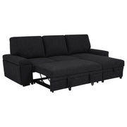 Demko Sleeper Sectional Sofa with Speaker and Storage Chaise Black - 500357