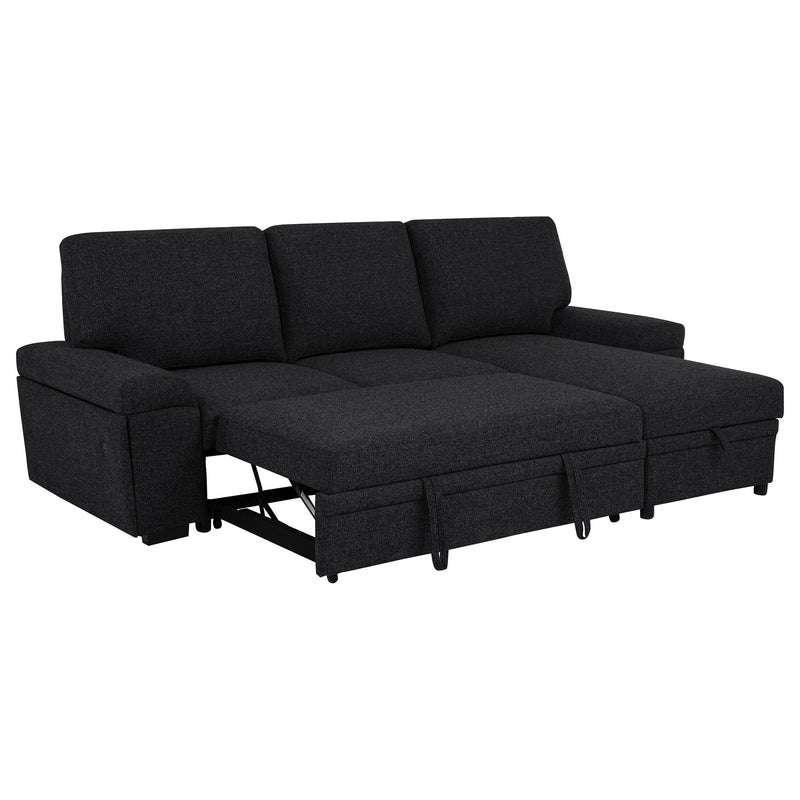 Demko Sleeper Sectional Sofa with Speaker and Storage Chaise Black - 500357