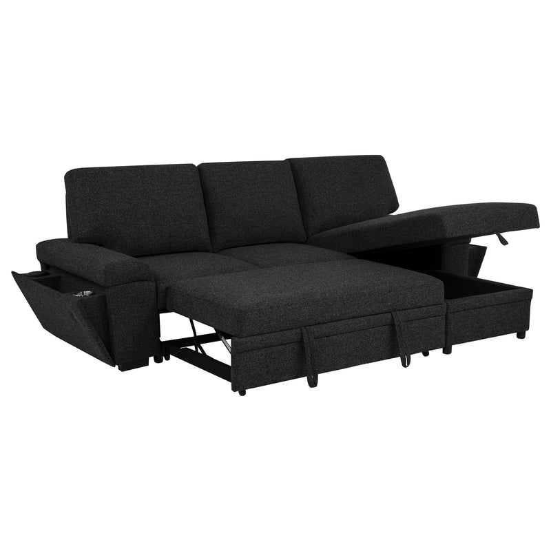 Demko Sleeper Sectional Sofa with Speaker and Storage Chaise Black - 500357