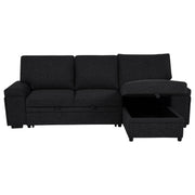 Demko Sleeper Sectional Sofa with Speaker and Storage Chaise Black - 500357