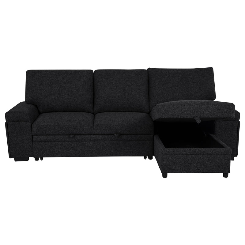 Demko Sleeper Sectional Sofa with Speaker and Storage Chaise Black - 500357