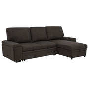 Demko Sleeper Sectional Sofa with Speaker and Storage Chaise Brown - 500356