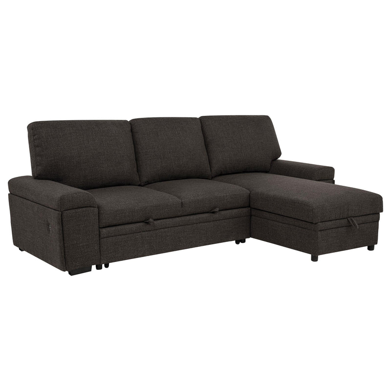Demko Sleeper Sectional Sofa with Speaker and Storage Chaise Brown - 500356