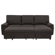 Demko Sleeper Sectional Sofa with Speaker and Storage Chaise Brown - 500356