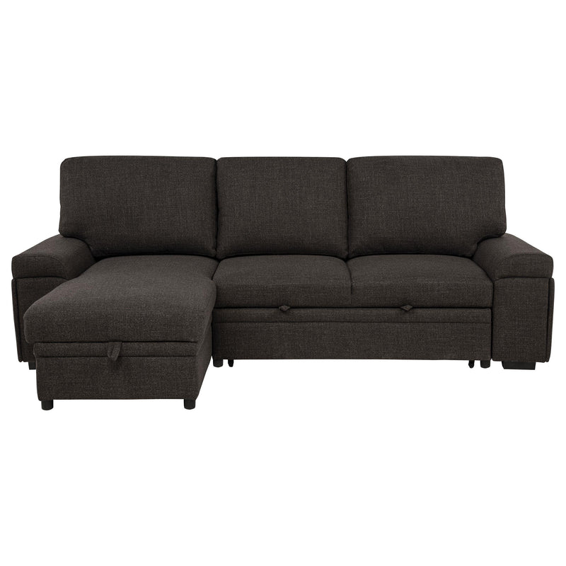 Demko Sleeper Sectional Sofa with Speaker and Storage Chaise Brown - 500356
