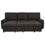 Demko Sleeper Sectional Sofa with Speaker and Storage Chaise Brown - 500356