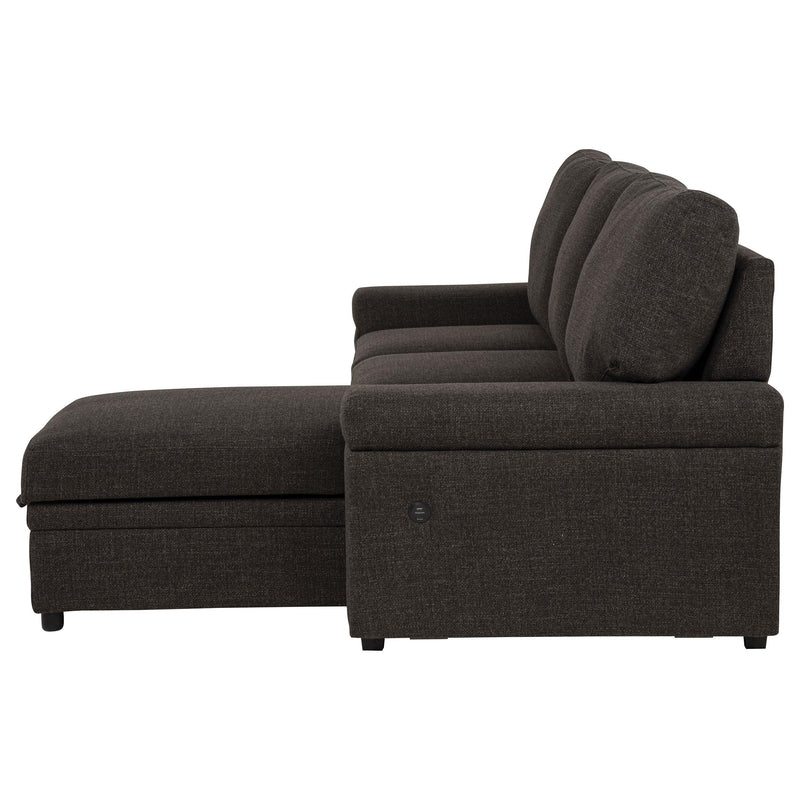 Demko Sleeper Sectional Sofa with Speaker and Storage Chaise Brown - 500356