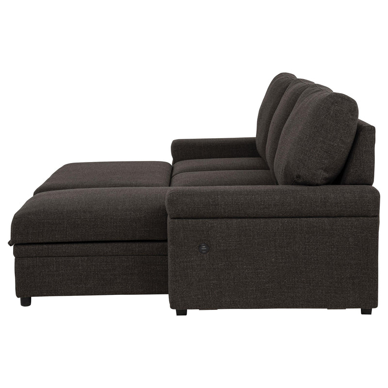 Demko Sleeper Sectional Sofa with Speaker and Storage Chaise Brown - 500356
