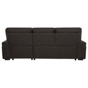 Demko Sleeper Sectional Sofa with Speaker and Storage Chaise Brown - 500356