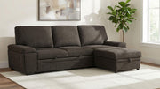 Demko Sleeper Sectional Sofa with Speaker and Storage Chaise Brown - 500356