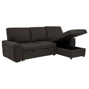 Demko Sleeper Sectional Sofa with Speaker and Storage Chaise Brown - 500356
