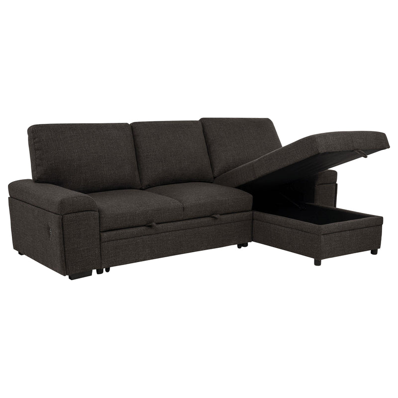 Demko Sleeper Sectional Sofa with Speaker and Storage Chaise Brown - 500356