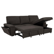 Demko Sleeper Sectional Sofa with Speaker and Storage Chaise Brown - 500356