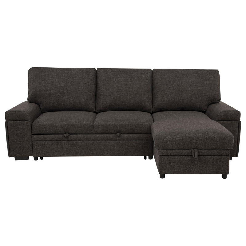 Demko Sleeper Sectional Sofa with Speaker and Storage Chaise Brown - 500356