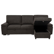 Demko Sleeper Sectional Sofa with Speaker and Storage Chaise Brown - 500356