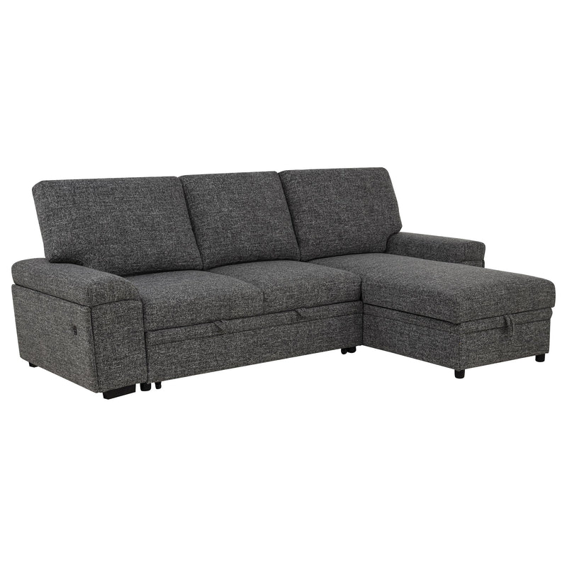 Demko Sleeper Sectional Sofa with Speaker and Storage Chaise Granite - 500355