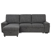 Demko Sleeper Sectional Sofa with Speaker and Storage Chaise Granite - 500355