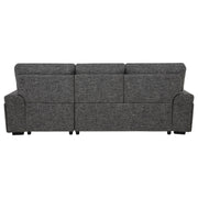 Demko Sleeper Sectional Sofa with Speaker and Storage Chaise Granite - 500355