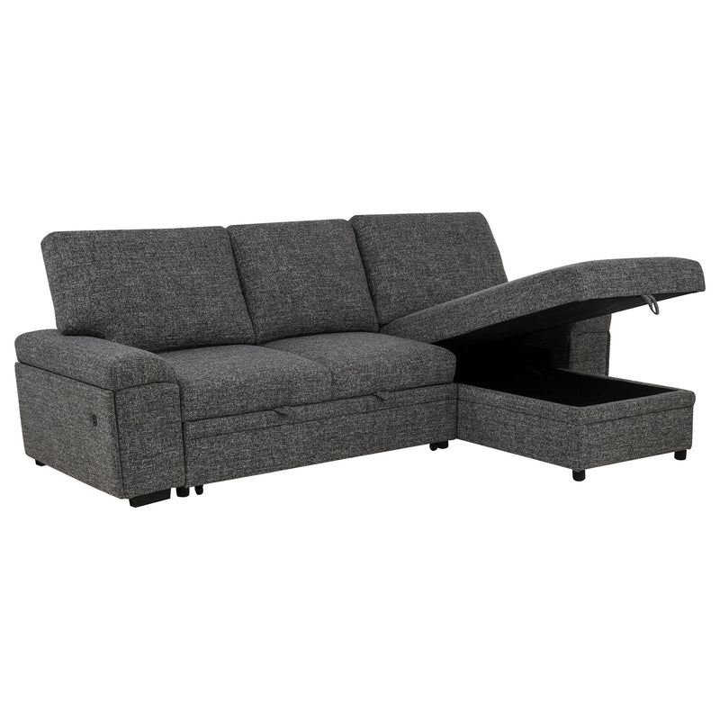 Demko Sleeper Sectional Sofa with Speaker and Storage Chaise Granite - 500355