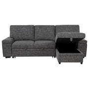 Demko Sleeper Sectional Sofa with Speaker and Storage Chaise Granite - 500355