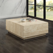 Deon Coffee Table - LV04245
