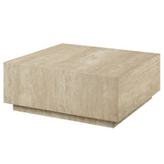 Deon Coffee Table - LV04245