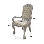 Dresden Arm Chair (Set-2) - DN01697