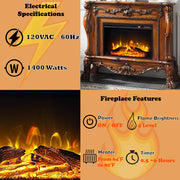 Dresden Fireplace - AC01309