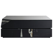 Drisana Coffee Table - LV03865