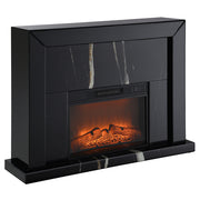 Drisana Fireplace - AC03869