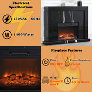 Drisana Fireplace - AC03869