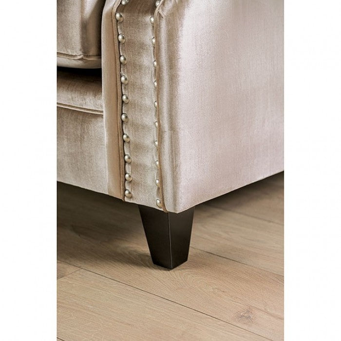 Elicia Champagne/Turquoise Sofa - SM2685-SF