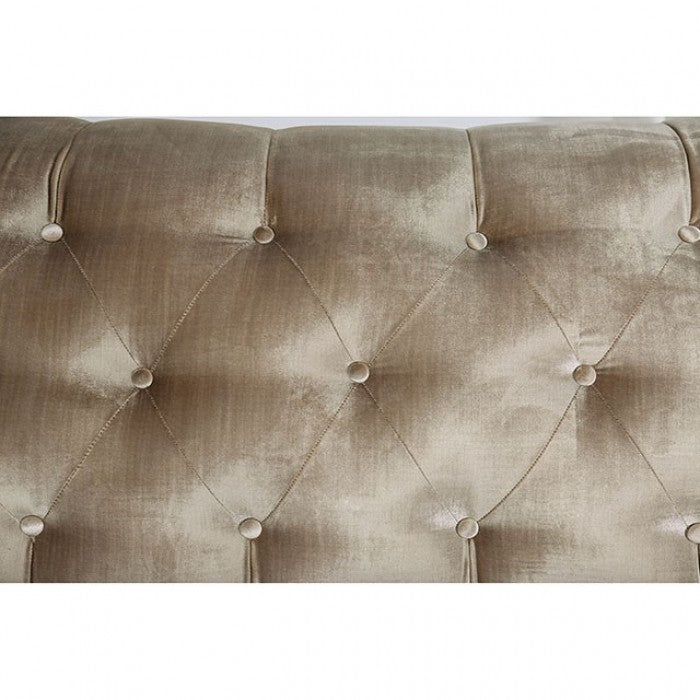 Elicia Champagne/Turquoise Sofa - SM2685-SF