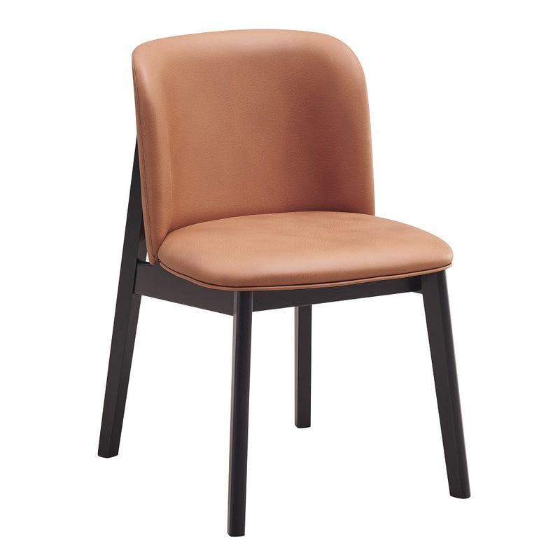 Eliora Side Chair (Set-2) - DN02367