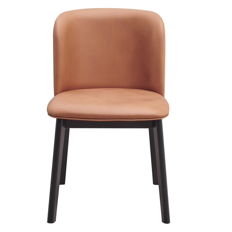 Eliora Side Chair (Set-2) - DN02367