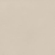 Ellis Cane And Vegan Leather Upholstered Dining Chair in Beige, Set of 2 - 88050Beige-C