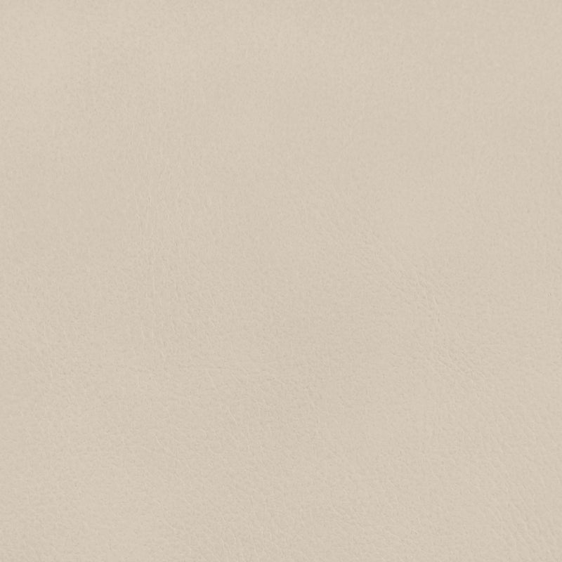 Ellis Cane And Vegan Leather Upholstered Dining Chair in Beige, Set of 2 - 88050Beige-C