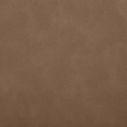 Ellis Cane And Vegan Leather Upholstered Dining Chair in Brown, Set of 2 - 88047Brown-C