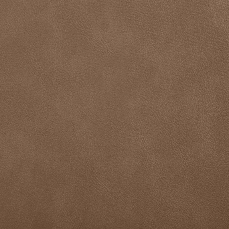 Ellis Cane And Vegan Leather Upholstered Dining Chair in Brown, Set of 2 - 88047Brown-C