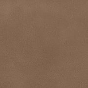 Ellis Cane And Vegan Leather Upholstered Dining Chair in Brown, Set of 2 - 88050Brown-C